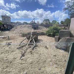 Part of meerkat enclosure