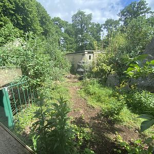 Mara/ 2nd giant anteater enclosure
