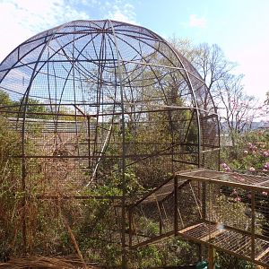 Former drill enclosure (last monkey house dome cage) 20.4.25