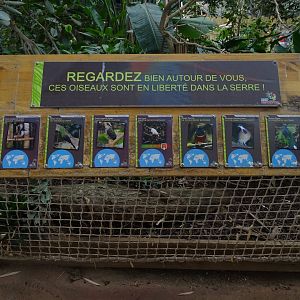 Greenhouse free-flying birds species list