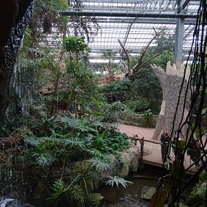 Greenhouse general view