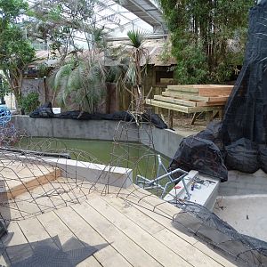 Works on the Gharial future exhibit