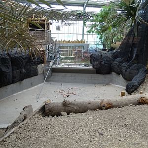 Works on the Gharial future exhibit