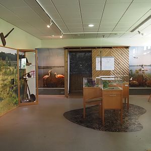 Biologischer Station Zwillbrocker Venn - Visitor and education center - Exhibition, 2025-05-26