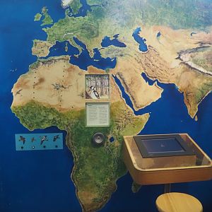 Biologischer Station Zwillbrocker Venn - Visitor and education center - Migratory bird display, 2025-05-26