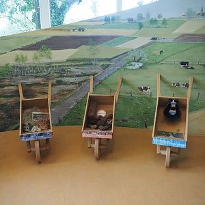 Biologischer Station Zwillbrocker Venn - Visitor and education center - Display of products from different habitats, 2025-05-26