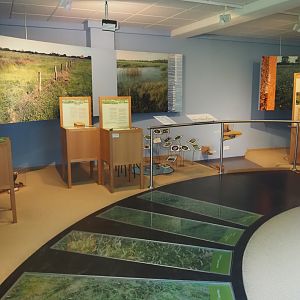 Biologischer Station Zwillbrocker Venn - Visitor and education center - Exhibition, 2025-05-26