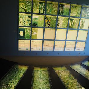 Biologischer Station Zwillbrocker Venn - Visitor and education center - Grassland types display, 2025-05-26