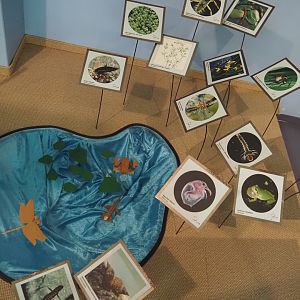 Biologischer Station Zwillbrocker Venn - Visitor and education center - Biodiversity of pools display, 2025-05-26