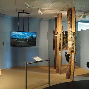 Biologischer Station Zwillbrocker Venn - Visitor and education center - Exhibition, 2025-05-26