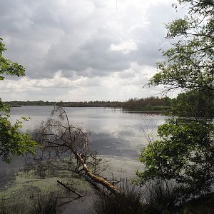 Zwillbrocker Venn, 2025-05-26