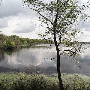 Zwillbrocker Venn, 2025-05-26