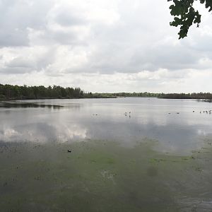 Zwillbrocker Venn, 2025-05-26