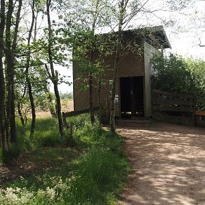 Zwillbrocker Venn - Viewing tower, 2025-05-26