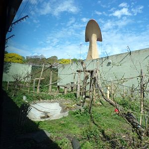 Drill enclosure and penguin bridge 20.4.25