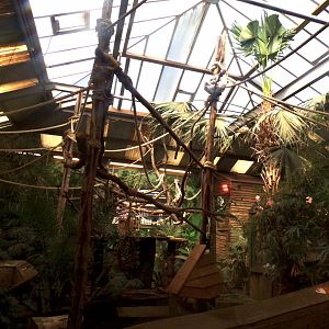 New sloth climbing frames 20.4.25