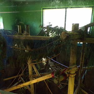 New furnishings in capuchin indoor area 20.4.25