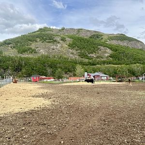 Highland Cattle pasture from the south with Bodenburg Butte in the background.