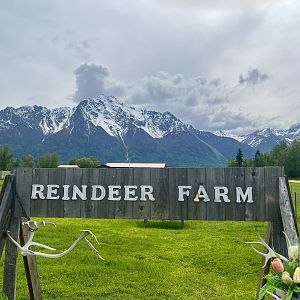 Reindeer Farm and Pioneer Peak