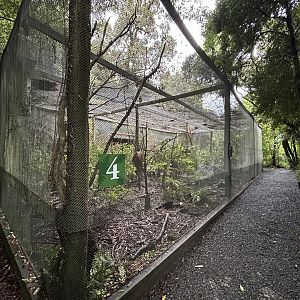 Kaka Aviary #2
