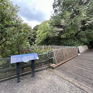 Longfin Eel Pool Viewing