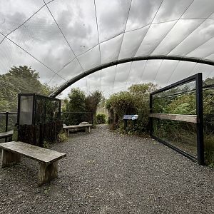 Walkthrough Aviary (4 Species)