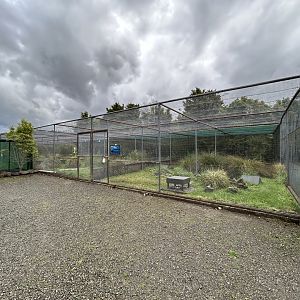 Whio Aviaries