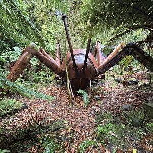 Giant Weta Sculpture