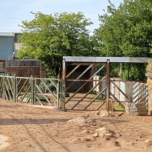 Asian Elephant- Bull enclosure