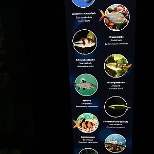 Signage for Tank for Burmese archerfish and others