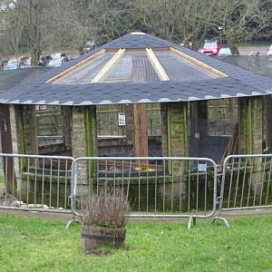 Aviary refurbishment taking place, 8th February 2025