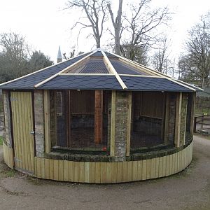 Joinery work on aviary completed, 3rd March 2025