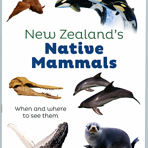 New Zealand's Native Mammals