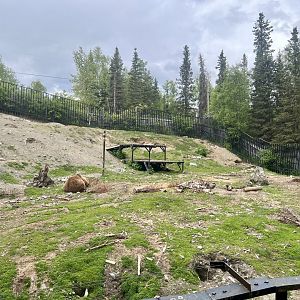Brown Bear Enclosure