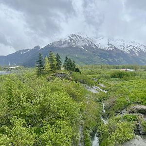 Brown Bear Enclosure (about 1/3 of the enclosure is visible)