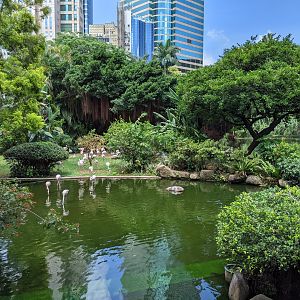 Bird Lake, Kowloon Park