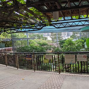Aviaries, Kowloon Park