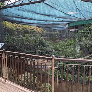 Aviaries, Kowloon Park