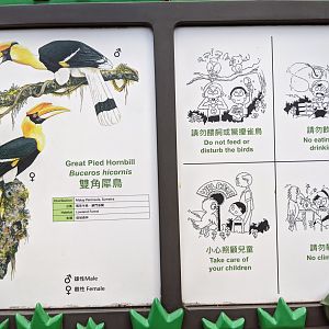 Signage for Great Hornbill (Buceros bicornis)