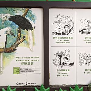 Signage for White-crowned Hornbill (Berenicornis comatus)