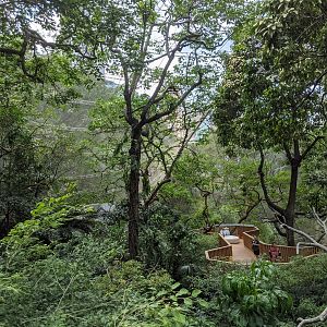 Edward Youde Aviary interior