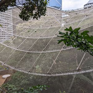 Edward Youde Aviary exterior