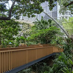 Edward Youde Aviary interior