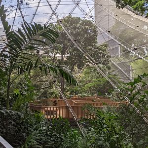 Edward Youde Aviary exterior