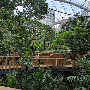 Edward Youde Aviary interior