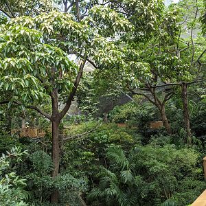 Edward Youde Aviary interior