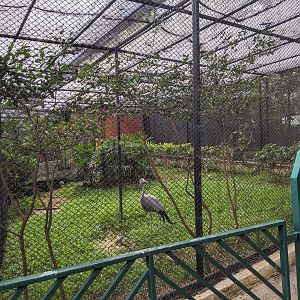 Crane aviary