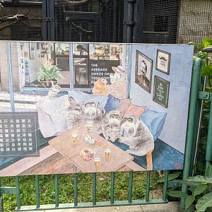 Artwork for Emperor Tamarins (Saguinus imperator)