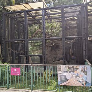 Cage for Emperor Tamarins (Saguinus imperator)