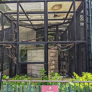 Cage for Ring-tailed Lemurs (Lemur catta)